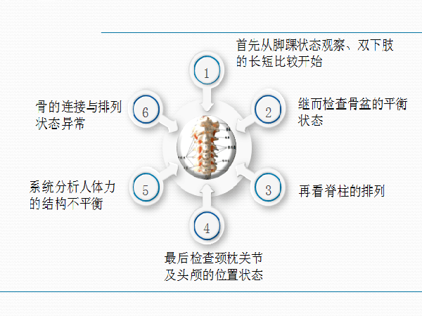 脊柱健康评价