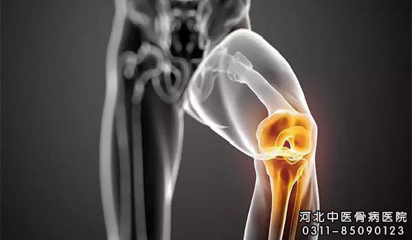 膝关节