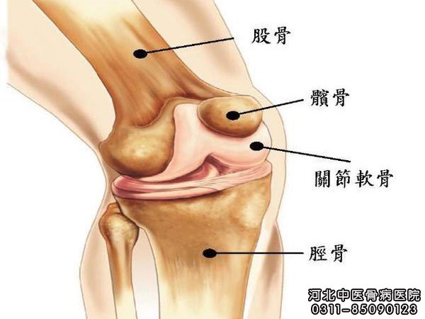引起关节疼痛的原因有哪些