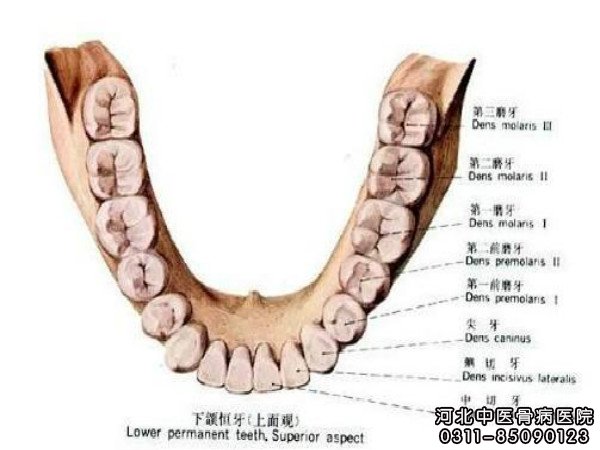 骨髓炎