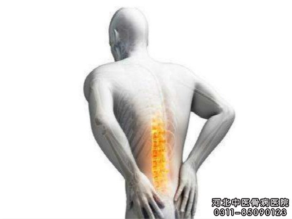 脊椎性骨髓炎示意图